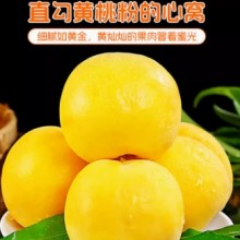 黄金蜜黄桃水果5斤桃子