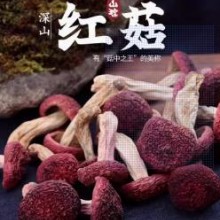 红菇干货无添加特产级红菌