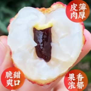 荔枝老树白糖罂现摘当季新鲜水果特产5斤糯米桂糍味