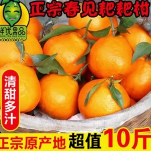 特级春见耙耙柑粑粑柑10斤橘子甜当季整箱新鲜水果丑柑桔包邮