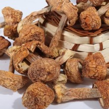 姬松茸干货巴西蘑菇小松菇小松口蘑阳光蘑菇柏氏蘑菇伞菌菇姬菇250克