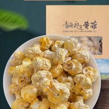 青海特产祁连山野生皇菇黄蘑菇小黄菇干货钉子菇煲汤香菇蘑菇礼盒