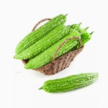 山东潍坊寿光新鲜苦瓜5斤农家自种凉瓜脆嫩营养蔬菜产地现摘现发