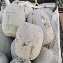 云南香冬瓜冰川翠玉袖珍迷你挂霜小冬瓜蜡粉高山糯面新鲜蔬菜清香2斤