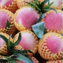 当季时令精品大果永莲水蜜桃12个装8斤