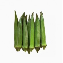秋葵新鲜海南时令秋葵蔬菜鲜嫩5斤装农家羊豆角现摘现发当季