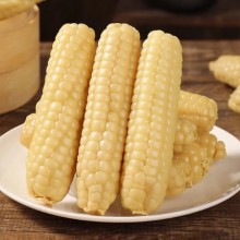 云南西双版纳拇指小玉米宝宝辅食甜糯玉米云南傣家拇指玉米真空