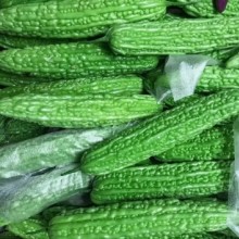 新鲜青苦瓜农家自种凉瓜青瓜脆嫩助农时令蔬果榨汁肉厚饱满现摘2斤