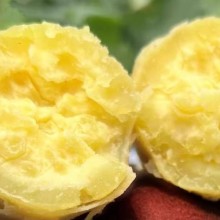 广东正宗潮汕白皮黄心板栗薯香甜粉糯现挖农家鸡蛋黄番薯地瓜包邮1斤