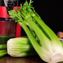 新鲜西芹榨汁专用现割现发出汁率高去叶蔬菜1500g