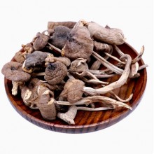 正宗云南特产鸡枞菌500g干货纯野生火把蘑菇油山珍煲汤旗舰店新鲜