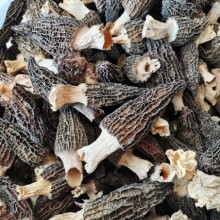 羊肚菌干货云南大理土特产蘑菇仿野生500包邮买就送菌菇组合