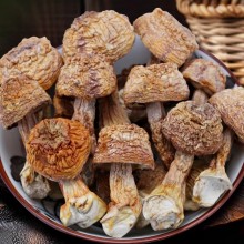 云南特产姬松茸菇干货鸡菌蘑巴西菇无硫500g非特级野生官方旗舰店