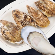 乳山生蚝鲜活特大10新鲜牡蛎5斤带箱海鲜水产海蛎子整箱商用顺丰