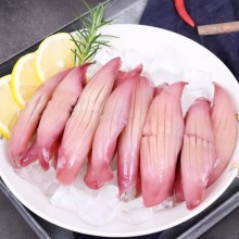 鸿顺火箭鱿鱼生鲜海鲜鱿鱼须烧烤火锅食材冷冻批发商用冷冻水产品400g