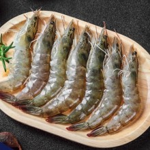 海虾鲜活速冻新鲜速冻虾海虾厄瓜多尔白虾南美对虾类海鲜水产对虾400g