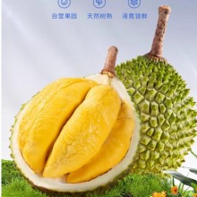 市舶士马来西亚进口D197猫山王榴莲液氮冷冻新鲜水果送礼