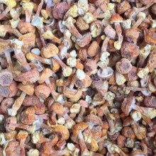 姬松茸干货 250g精选无碎非新鲜山珍蘑菇精品无硫熏正品云南菌子