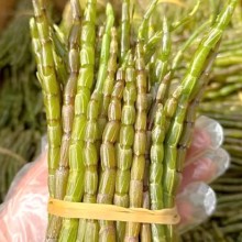 新鲜石斛鲜条铁皮石斛 云南山珍特产一斤划算装石斛枫斗滋补营养