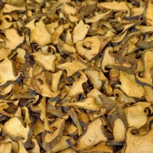 牛肝菌干货美味牛肝菌黑牛肝菌新鲜干货无虫无沙云南菌子商用香菇